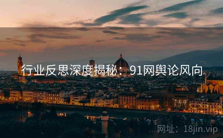 行业反思深度揭秘：91网舆论风向