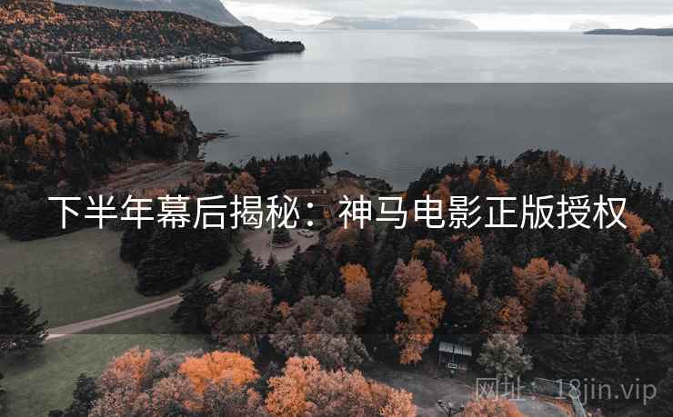 下半年幕后揭秘：神马电影正版授权