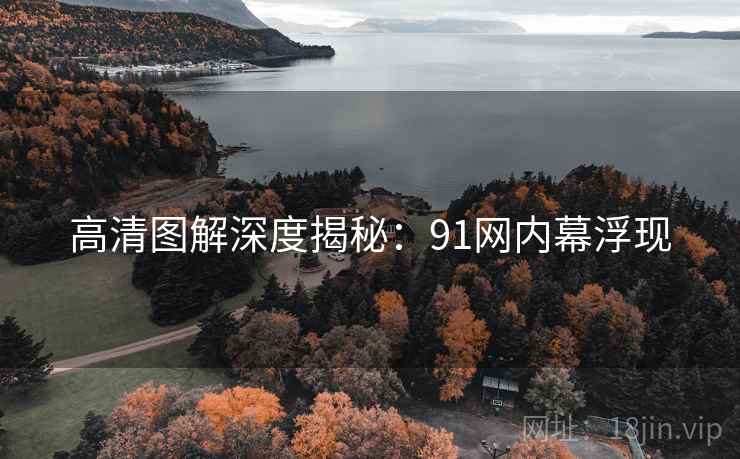 高清图解深度揭秘：91网内幕浮现