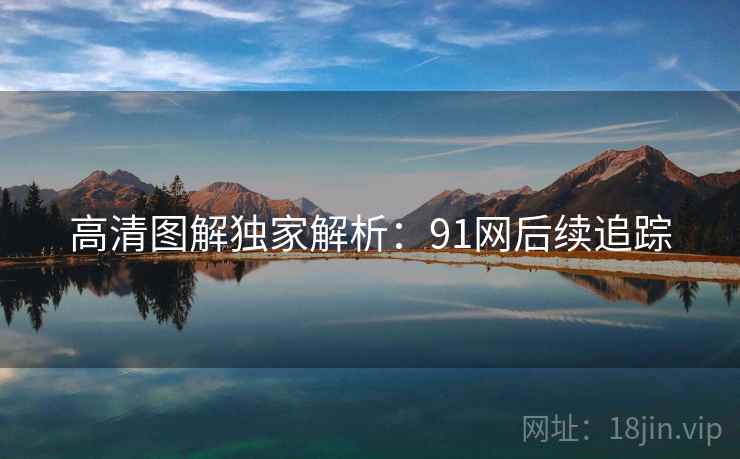 高清图解独家解析：91网后续追踪