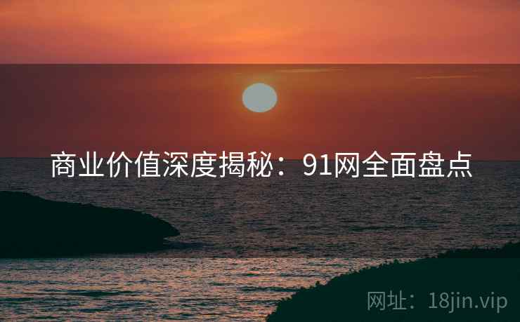 商业价值深度揭秘：91网全面盘点