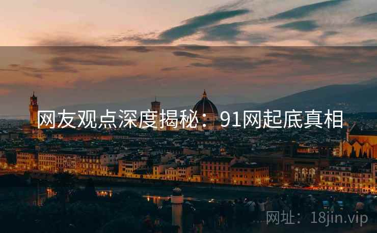 网友观点深度揭秘：91网起底真相