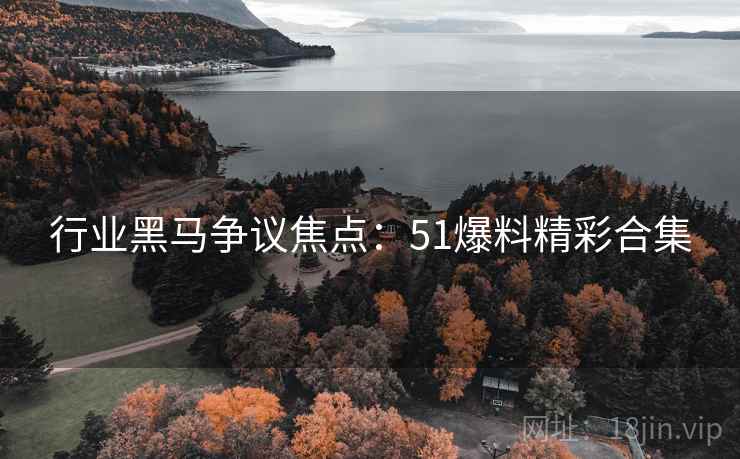 行业黑马争议焦点：51爆料精彩合集